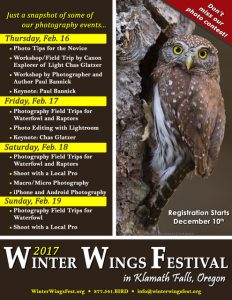 Winter Wings Festival